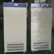 1600826581205783.jpg 光照2_副本.jpg